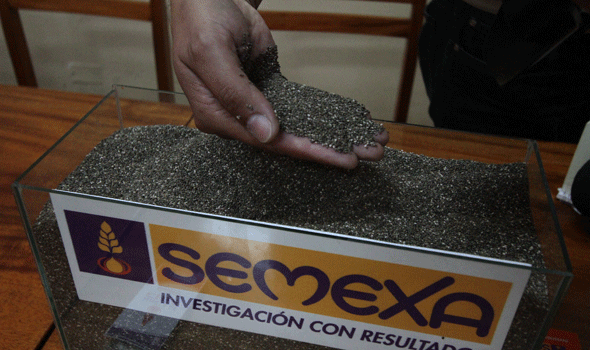Ibnorca busca certificar la calidad de la Chía