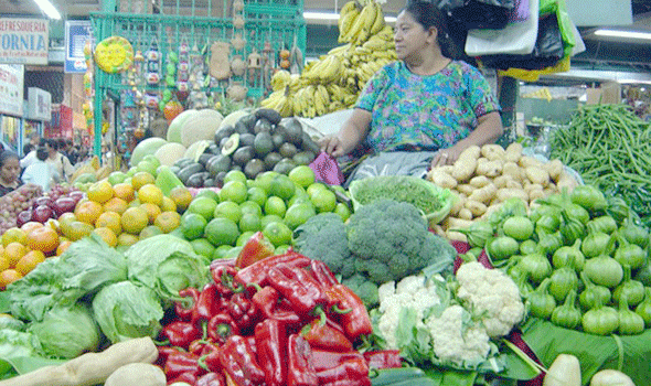 Jubileo pide fomentar cultivos de verduras