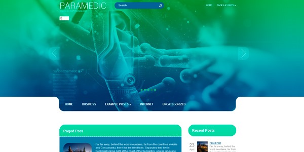 Paramedic: tema de WordPress