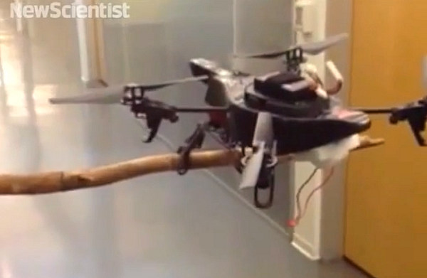 Drones con patas que caminan y se posan en los árboles como si fueran pájaros