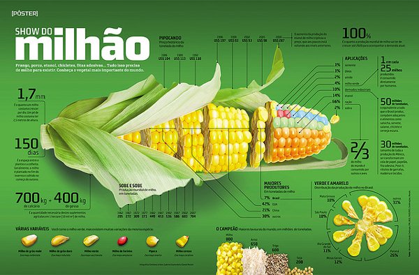 mejor infografia show do milhao