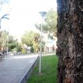 image01