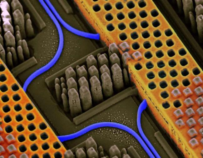 chip IBM