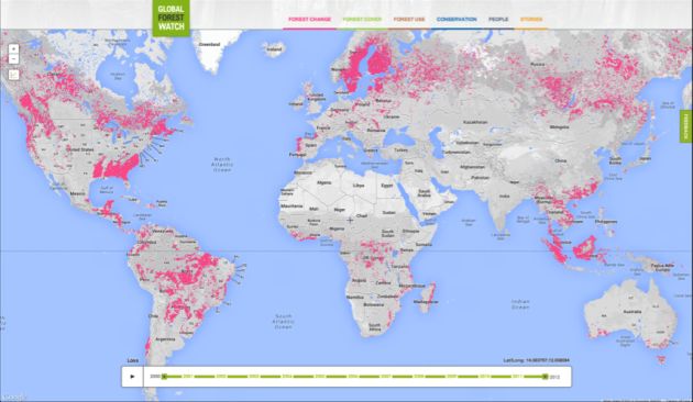 Google monitoriza la deforestación mundial mediante una nueva herramienta