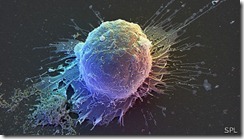 Hasta ahora se reprograman células de la piel en células madre para luego convertirlas en células de otras partes del cuerpo Hasta ahora se reprograman células de la piel en células madre para luego convertirlas en células de otras partes del cuerpo