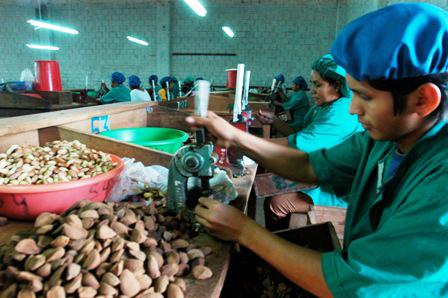 Gobierno-garantiza-transporte-y-logistica-para-salvar-exportaciones-de-castana-de-Riberalta