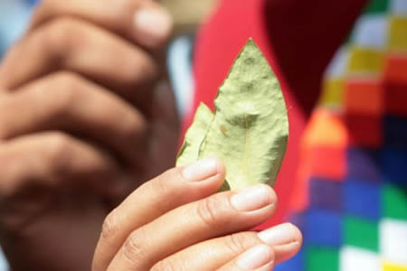 UE-apoyara-a-Bolivia-con-24-millones-de-euros-para-lucha-contra-el-narcotrafico