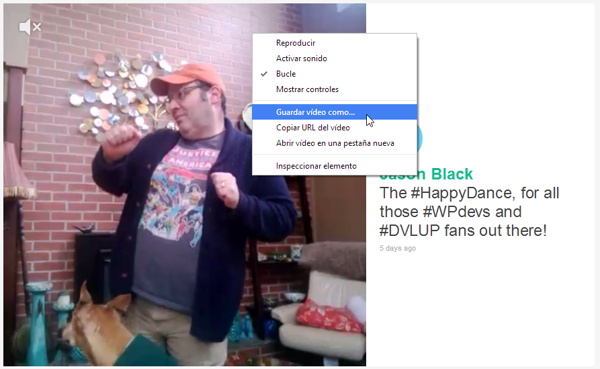 descargar video vine