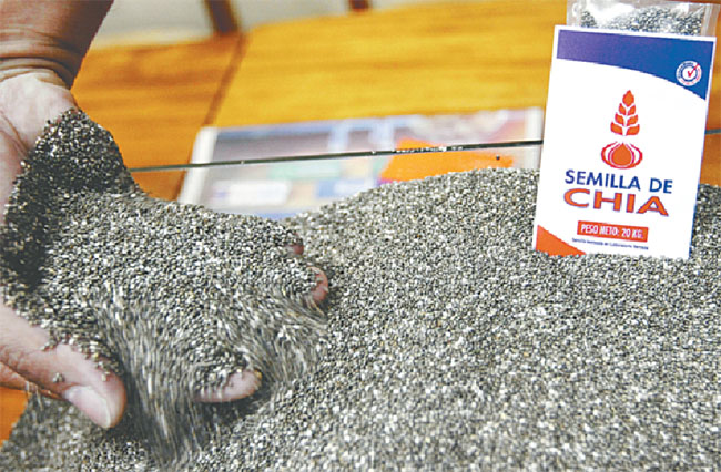 Semexa entra a la producción de semilla de chía de alta calidad Semexa entra a la producción de semilla de chía de alta calidad