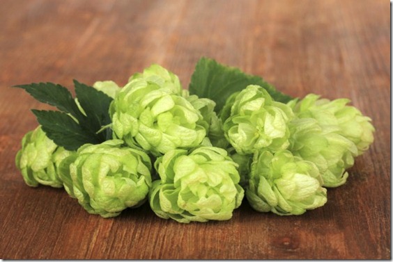 hierbas-para-aumentar-el-busto-1