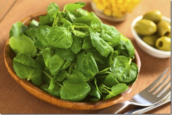 hierbas-para-aumentar-el-busto-2