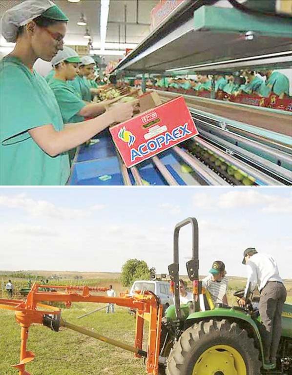 Extremadura es una de las comunidades más exitosas en cooperativismo. AGROINFORMACION-COM