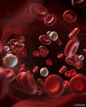 Sangre