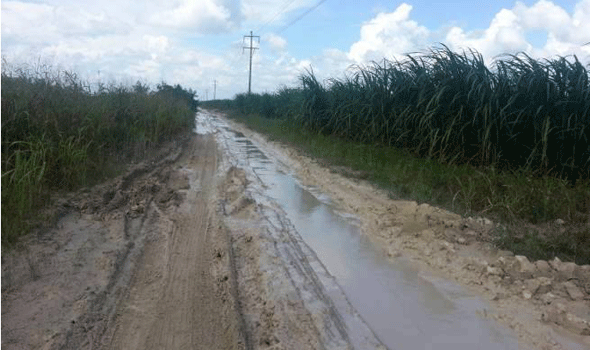 Las lluvias retrasarán la zafra en Santa Cruz