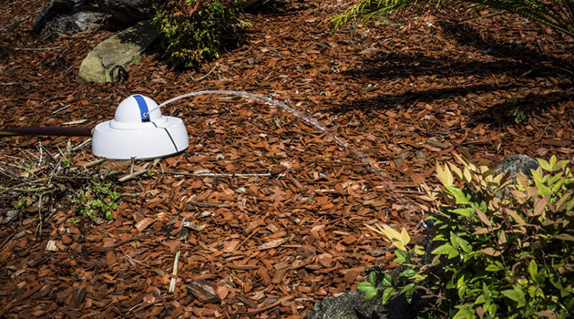 Droplet, el robot jardinero que ahorra agua y te facilita la vida (vídeo)