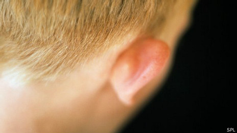 _ear