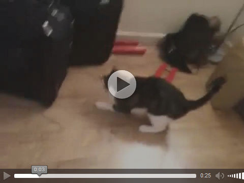 Firefox 28, control de volumen deslizante horizontal para audio y vídeo HTML5