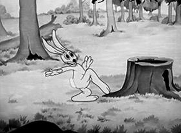 Happy rabbit