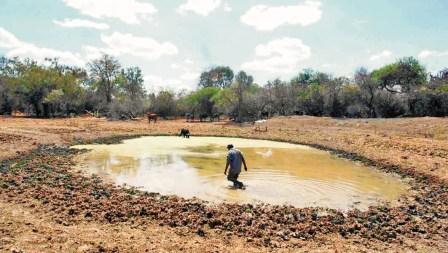 Proponen-agricultura-sostenible-para-paliar-cambio-climatico-en-el-Gran-Chaco