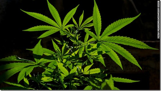 uses-for-medical-marijuana-horizontal
