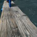 image01