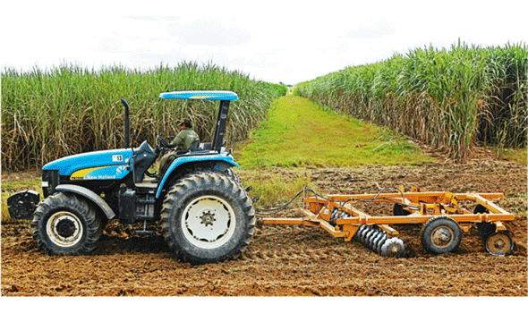 Aguaí es principal zona de influencia de caña
