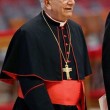 cardenal_T1