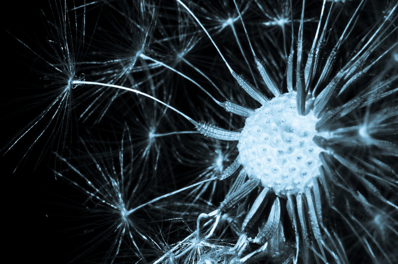 aplicaciones para mejorar la memoria