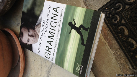 Detalle de la portada del libro de Michele Cucuzza y Luigi Di Cicco, "Gramigna"