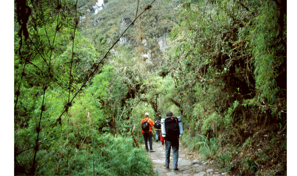 Festival de cine con temática ecológica