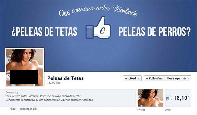 pelea-de-tetas.jpg