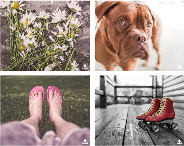 Página principal de Gratisography Página principal de Gratisography