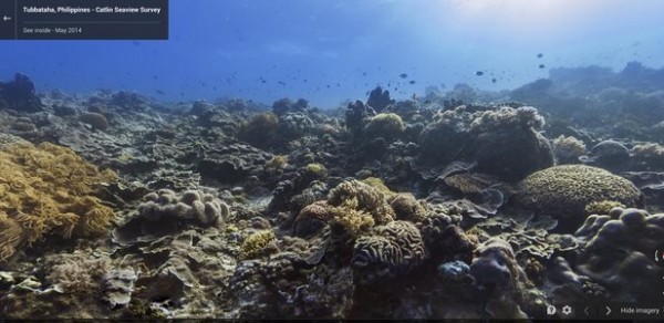 worldoceansday