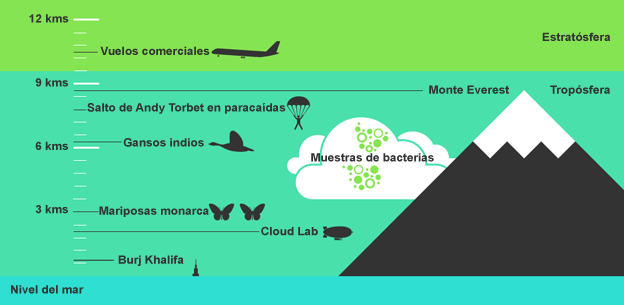 Infográfico