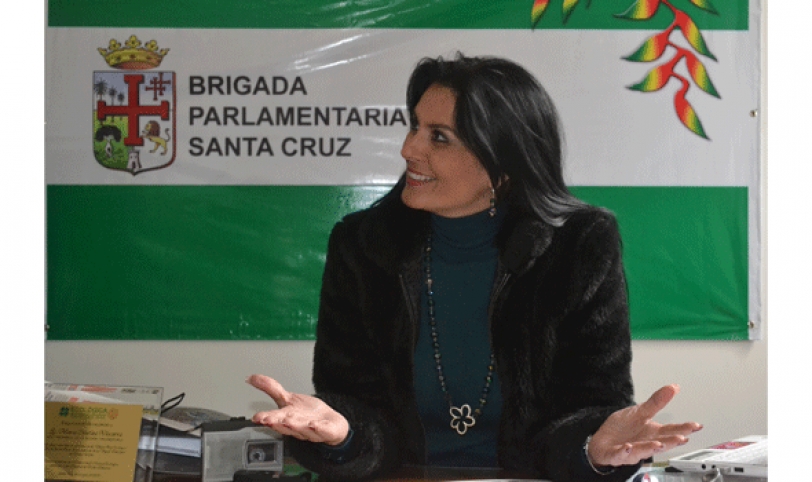 La actual presidenta de la Brigada Parlamentaria Cruceña, María Cristina Viscarra, no logra sesionar hasta ahora
