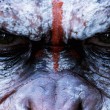 dawn-of-the-planet-of-the-apes-trailer