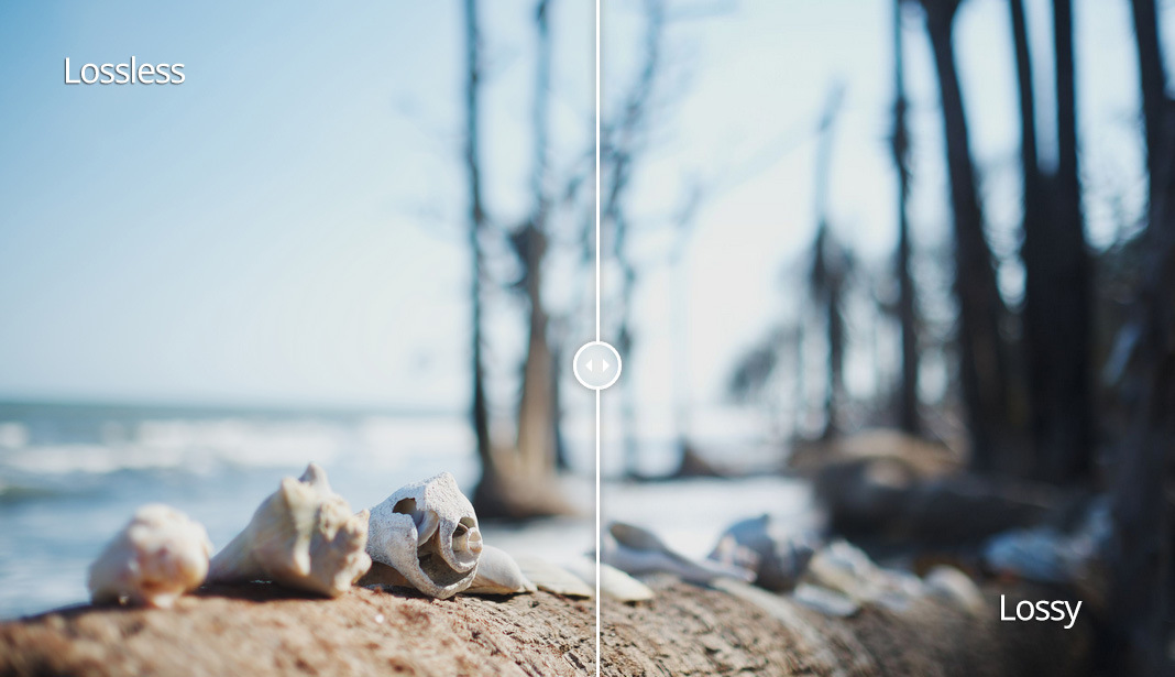 diferencia entre JPGE, PNG, y GIF