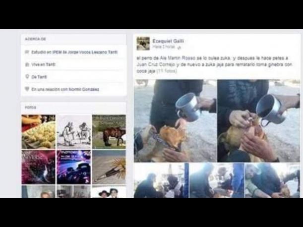 Argentina: 'Alcoholizan' a perro y luego suben la foto a Facebook