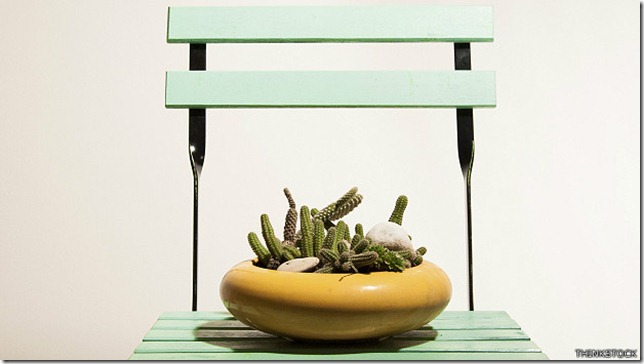 _piles_silla_con_cactus