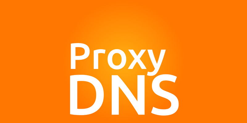 proxydnslogo