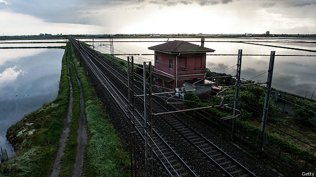Cultivo de arroz al lado del ferrocarril en Novara, Italia