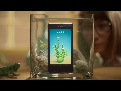 Imagen de previsualización de YouTube