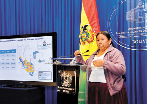 Explicación. La ministra Nemesia Achacollo lanza el programa para el agro en conferencia de prensa.