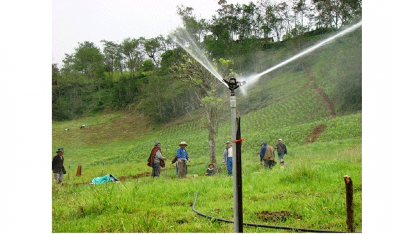 Los proyectos de riego benefician la producción de alimentos en diversas zonas del país.
