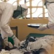 ebola-liberia-story-top.jpg