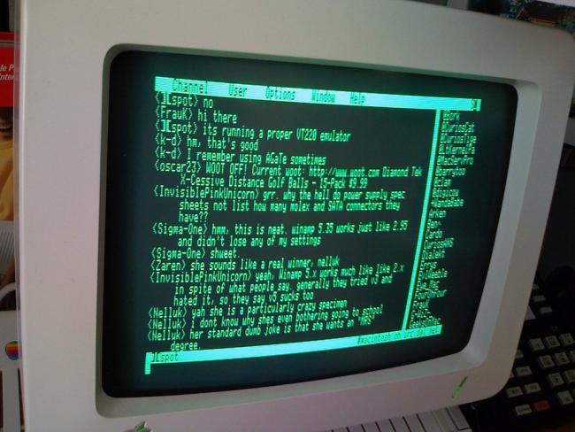 Terminal