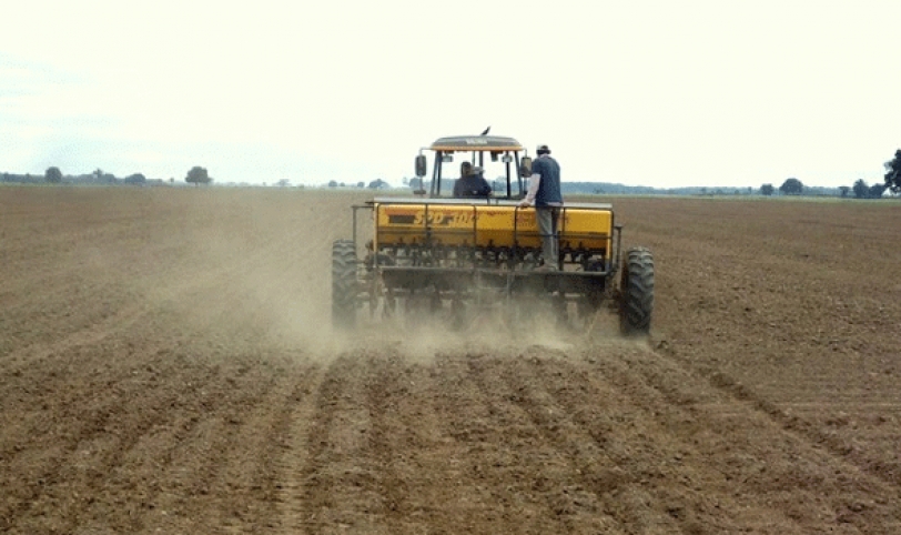 Aproximadamente 500.000 hectáreas podrían ser revestidas al presentar anomalías en sus documentos de saneamiento.