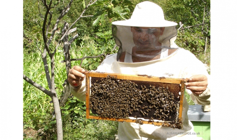 Los productores de miel esperan llegar a crecer a pesar de las adversidades del clima.