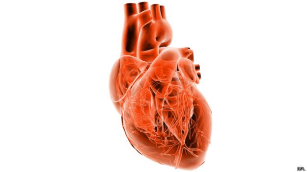 Dibujo de un corazón