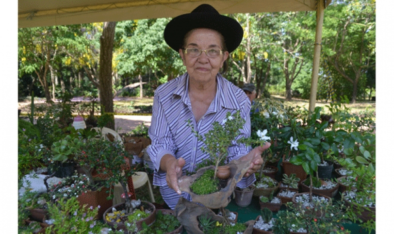 Lastenia Calzadilla lleva cultivando bonsáis desde hace 40 años y está presente con más de 40 ejemplares en el III Festival.